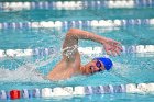 Swimming & Diving vs Babson  Swimming & Diving vs Babson College. - Photo by Keith Nordstrom : Wheaton, Swimming